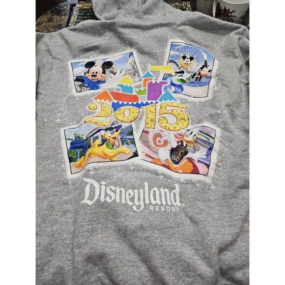Disneyland Disney Gray Full Zip Jacket 2015 Unisex Adult Size Medium Hooded - Picture 1 of 5